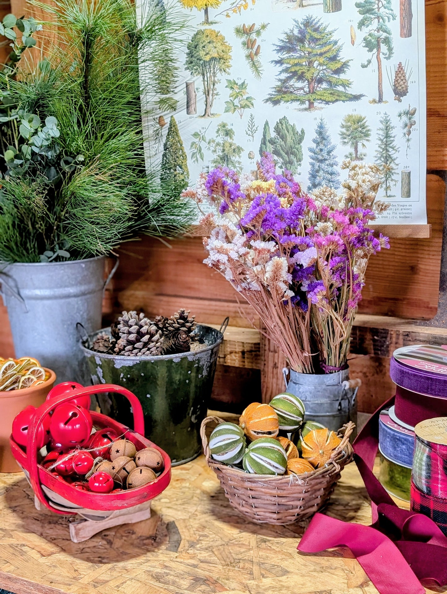 Christmas table centrepiece workshop - 21st December - King Alfred's Kitchen