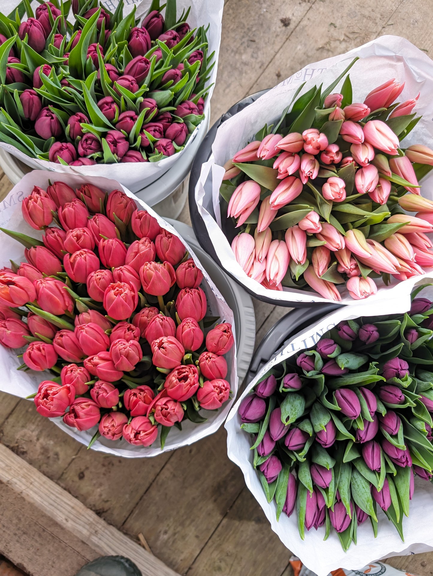 Mother's Day British tulip bouquet
