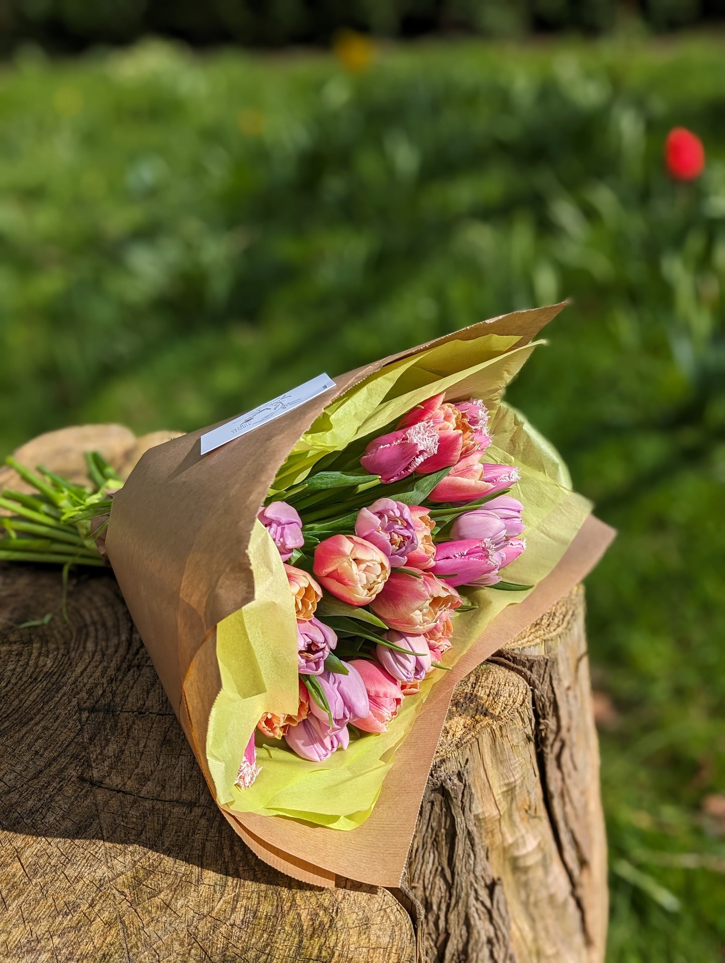 Mother's Day British tulip bouquet