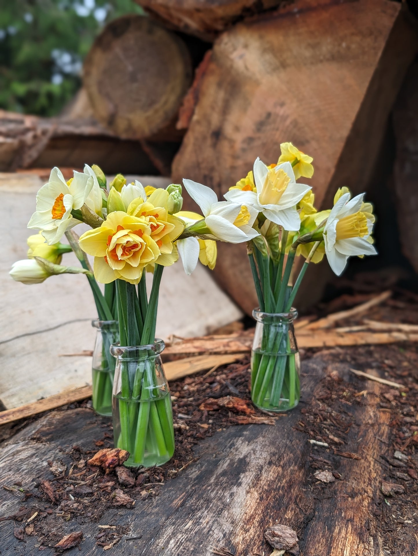 Flower shed Jamjars posies/ Bud vases