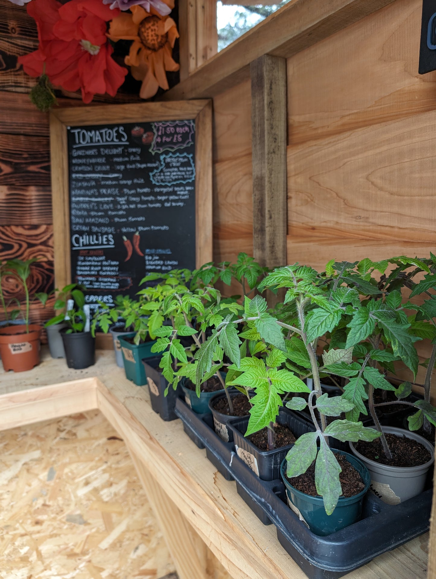 Plants