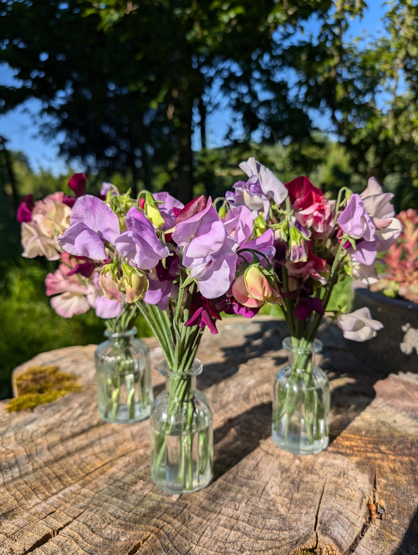 Flower shed Jamjars posies/ Bud vases