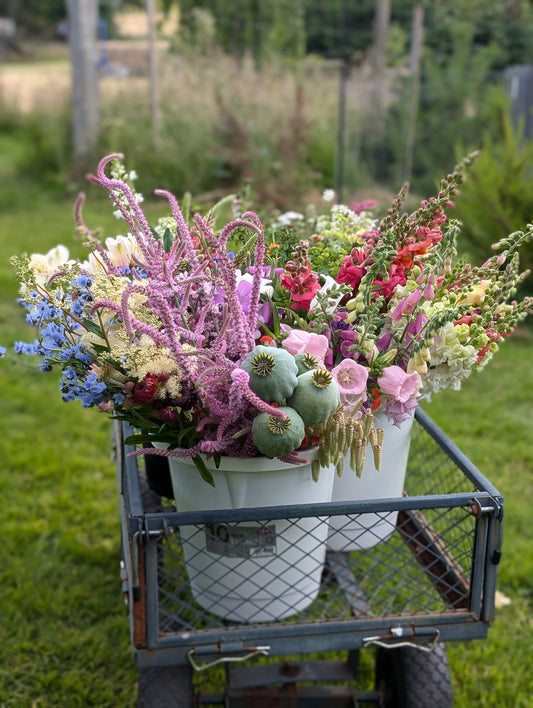 DIY Arranger Buckets