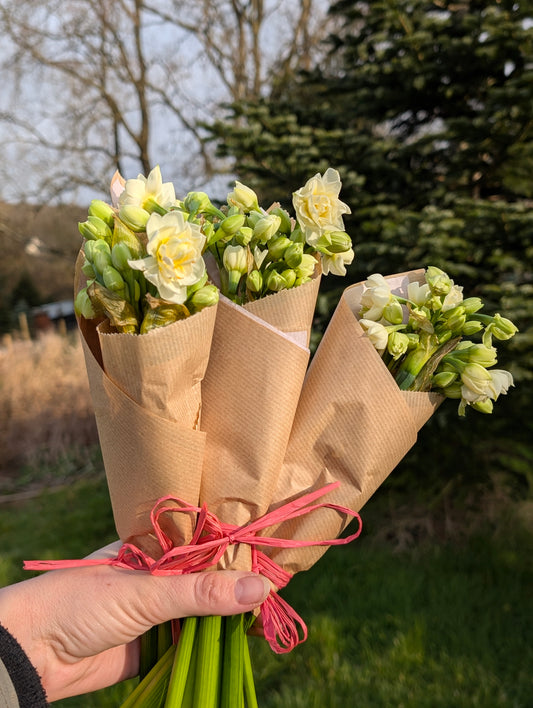 Flower shed Posies/ daffodils