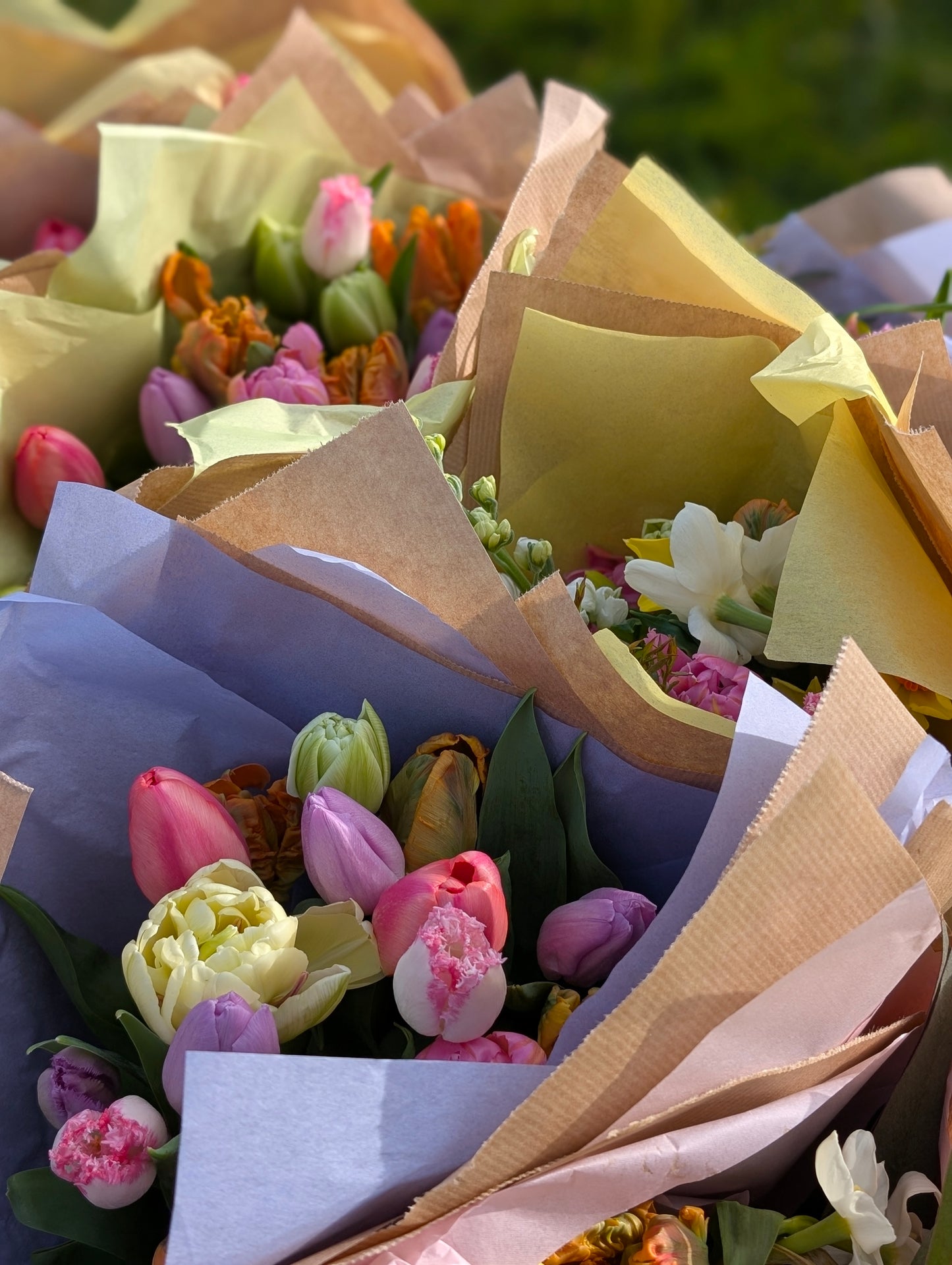 Mother's Day British tulip bouquet