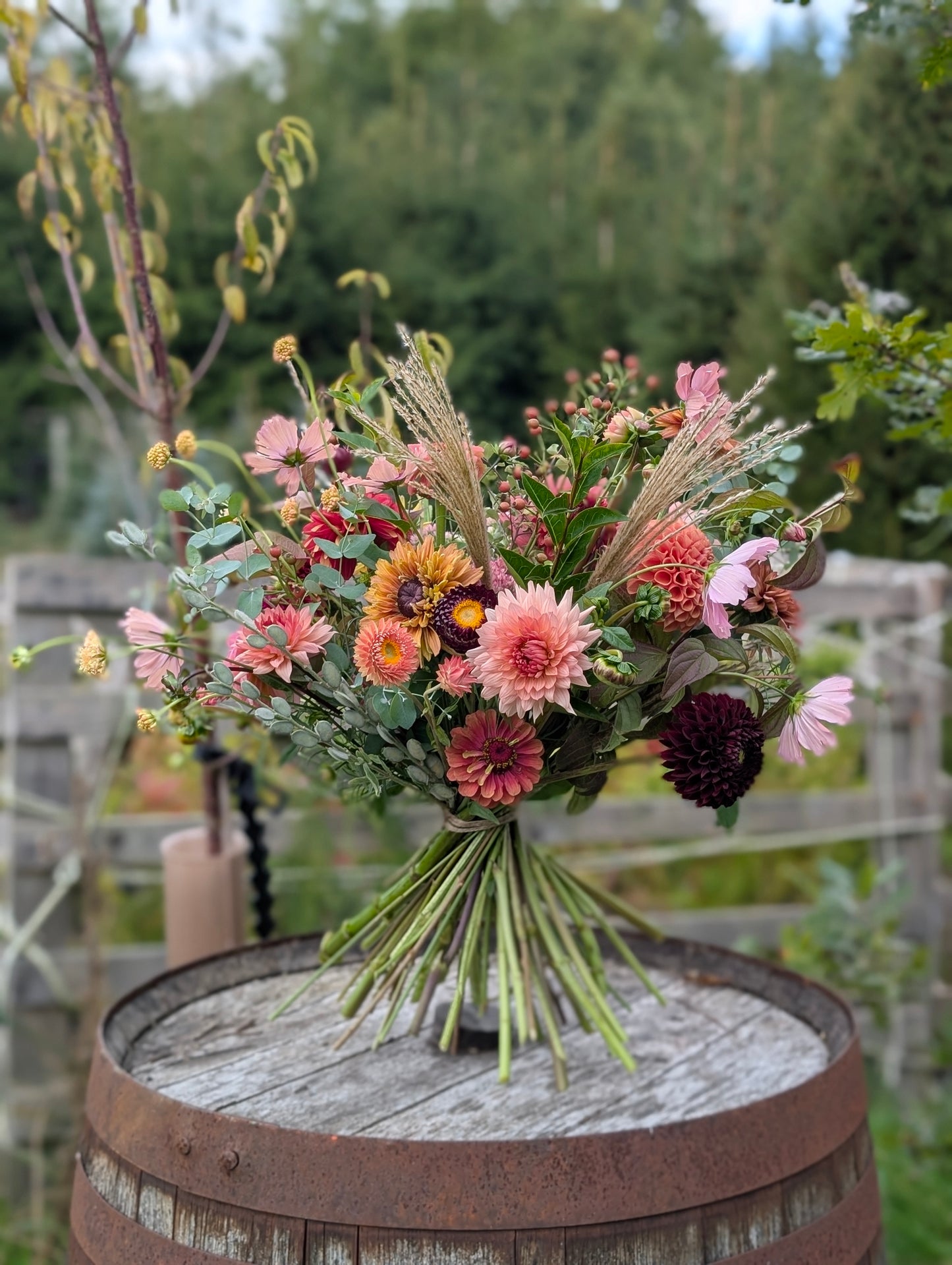 Subscription Flowers 2026